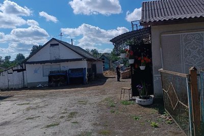 подвір'я, оселя подвір'я, оселя