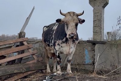 Атаки РФ, поранені люди та пошкоджені будівлі. Головні новини Сумщини: онлайн Атаки РФ, поранені люди та пошкоджені будівлі. Головні новини Сумщини: онлайн
