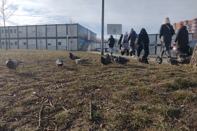Перукарка з Донецька безоплатно стриже переселенців у модульному містечку Львова Перукарка з Донецька безоплатно стриже переселенців у модульному містечку Львова