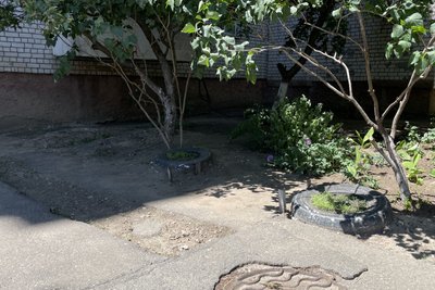"Немає, де нам сісти": у Миколаєві мешканці будинку просять встановити лавку — голова ОСББ проти "Немає, де нам сісти": у Миколаєві мешканці будинку просять встановити лавку — голова ОСББ проти