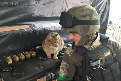 президент вручив орден за мужність військовому з тернопільщини президент вручив орден за мужність військовому з тернопільщини