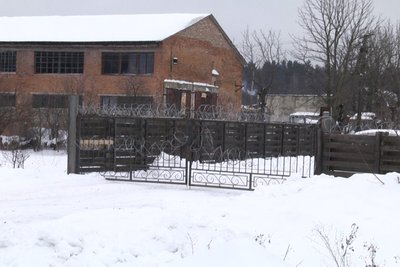 Ситуація на держпідприємстві "Рихальське" на Житомирщині: місцеві жителі розповіли, що тварини продовжують голодувати Ситуація на держпідприємстві "Рихальське" на Житомирщині: місцеві жителі розповіли, що тварини продовжують голодувати