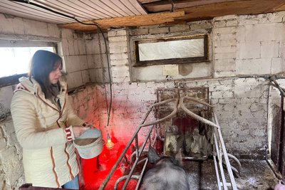 Розводять свиней та ведуть блог: історія подружжя з Вінниччини Розводять свиней та ведуть блог: історія подружжя з Вінниччини
