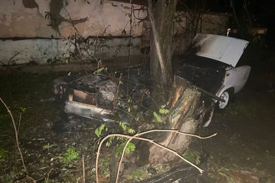 На Миколаївщині у машині згорів чоловік — ДСНС На Миколаївщині у машині згорів чоловік — ДСНС