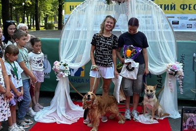 Збір грошей для безпритульних тварин та «весілля» собак — у Малині вдруге провели благодійний ПЕТ М-Фест Збір грошей для безпритульних тварин та «весілля» собак — у Малині вдруге провели благодійний ПЕТ М-Фест