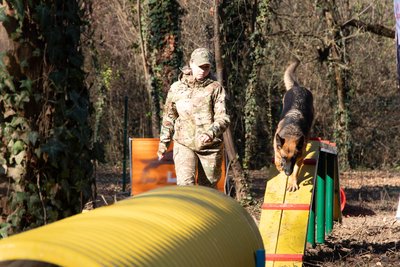 У Боздоському парку відкрили перший в Ужгороді спеціально облаштований майданчик для вигулу та тренувань собак У Боздоському парку відкрили перший в Ужгороді спеціально облаштований майданчик для вигулу та тренувань собак