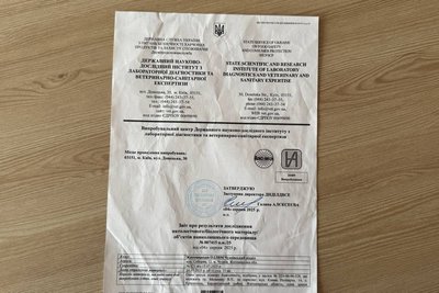 У громаді на Житомирщині загинули майже 700 бджолиних сімей — яка причина