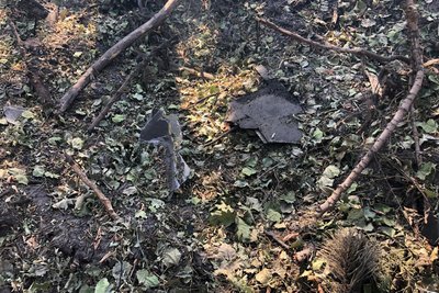 На Житомирщині уламки безпілотника спричинили займання в лісі На Житомирщині уламки безпілотника спричинили займання в лісі