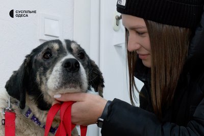 Їхав під обстріли, щоб врятувати покинутого собаку