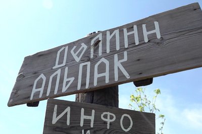 Як стежитимуть за безпекою у "Долині альпак" у Харківському екопарку Як стежитимуть за безпекою у "Долині альпак" у Харківському екопарку