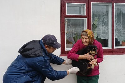 У Малинській громаді безоплатно вакцинують домашніх і безпритульних тварин від сказу У Малинській громаді безоплатно вакцинують домашніх і безпритульних тварин від сказу