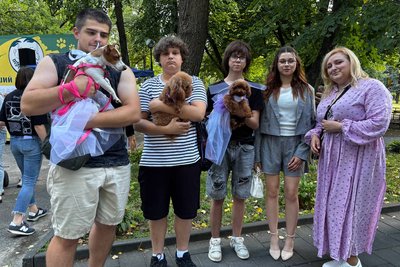 Збір грошей для безпритульних тварин та «весілля» собак — у Малині вдруге провели благодійний ПЕТ М-Фест Збір грошей для безпритульних тварин та «весілля» собак — у Малині вдруге провели благодійний ПЕТ М-Фест