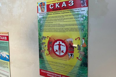 Укуси скажених тварин: як на Миколаївщині протидіють поширенню хвороби