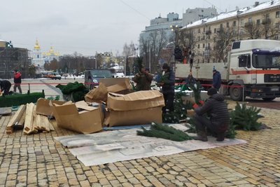 У Києві розпочали встановлювати головну ялинку країни У Києві розпочали встановлювати головну ялинку країни