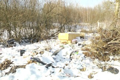 Коли приберуть стихійне сміттєзвалище у Довбиші на Житомирщині Коли приберуть стихійне сміттєзвалище у Довбиші на Житомирщині