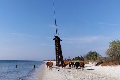 На Миколаївщині скоротився турпотік. Який відпочинок у регіоні буде доступним у 2023 році На Миколаївщині скоротився турпотік. Який відпочинок у регіоні буде доступним у 2023 році