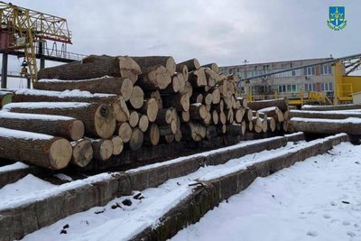 Вирубка 100-річних дубів в Чорнобильському заповіднику: правоохоронцю оголосили підозру Вирубка 100-річних дубів в Чорнобильському заповіднику: правоохоронцю оголосили підозру