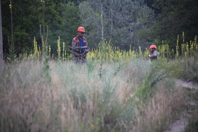 співаківка світло знеструмлене заживили харківобленерго обленерго ізюмський район енергетики оскільська громада поле дроти співаківка світло знеструмлене заживили харківобленерго обленерго ізюмський район енергетики оскільська громада поле дроти