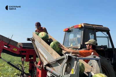На Одещині зібрали врожай з органічних кавунів, персиків та соняшнику На Одещині зібрали врожай з органічних кавунів, персиків та соняшнику