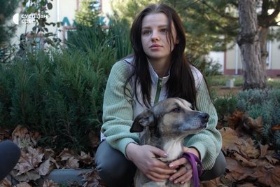Зачепило уламками під час обстрілу Одеси: собакам Кльопі та Боцману шукають родини Зачепило уламками під час обстрілу Одеси: собакам Кльопі та Боцману шукають родини