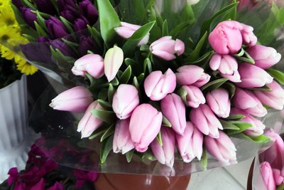Ціна на квіти в Одесі до 8 березня Ціна на квіти в Одесі до 8 березня
