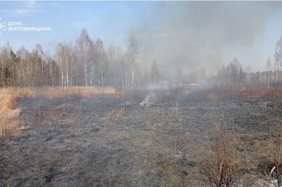 115 загорянь сухої трави за добу — на двох із них травмувалися люди 115 загорянь сухої трави за добу — на двох із них травмувалися люди