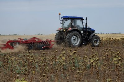 Посуха та морози у 2025 році: яким для миколаївських аграріїв був цей рік Посуха та морози у 2025 році: яким для миколаївських аграріїв був цей рік