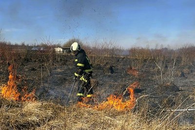 пожежа, суха трава, ДСНС пожежа, суха трава, ДСНС