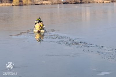 На півдні Одещини врятували лебедя, який замерз у крижині в ставку На півдні Одещини врятували лебедя, який замерз у крижині в ставку