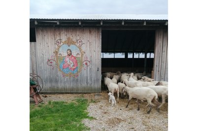Божественний кураж: есей Костянтина Дорошенка про Григорія Сковороду Божественний кураж: есей Костянтина Дорошенка про Григорія Сковороду