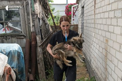 Зооволонтери рятують тварин у підтоплених районах Херсона, 7 червня 2023 року