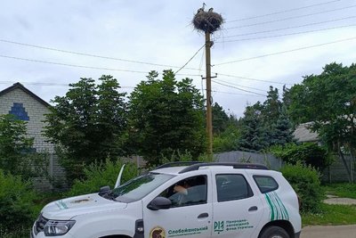 Облік білих лелек на Харківщині