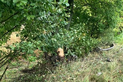 Авто врізалось у дерево: загинули двоє людей у ДТП на Рівненщині Авто врізалось у дерево: загинули двоє людей у ДТП на Рівненщині