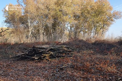 Дев'ять тисяч за причіп: на Одещині заготовляють дрова для населення Дев'ять тисяч за причіп: на Одещині заготовляють дрова для населення
