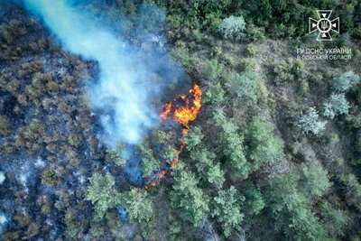 На Одещині п'ять годин горіло вісім гектарів сухої рослинності На Одещині п'ять годин горіло вісім гектарів сухої рослинності