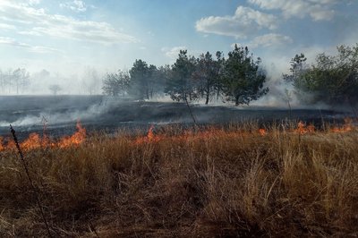 За добу на Миколаївщині сталися сім пожеж, одна з них — внаслідок обстрілів За добу на Миколаївщині сталися сім пожеж, одна з них — внаслідок обстрілів