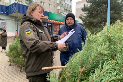 Виявили порушення: у Миколаєві перевіряють місця продажу ялинок Виявили порушення: у Миколаєві перевіряють місця продажу ялинок