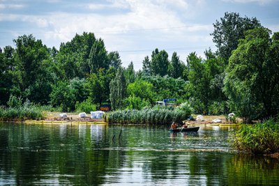 Озеро Кирилівське після забруднення: зрізають очерет та досліджують токсичність води Озеро Кирилівське після забруднення: зрізають очерет та досліджують токсичність води