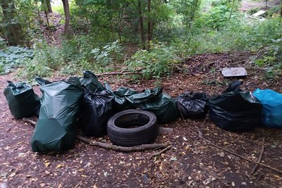 Всесвітній день прибирання на Житомирщині: скільки сміття зібрали та хто долучився — волонтери підбивають підсумки