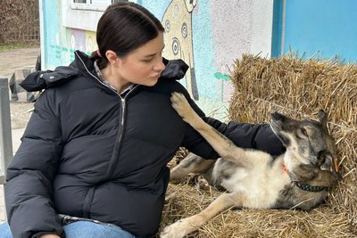 Собака на ім’я Вовчиця живе у житомирському центрі захисту тварин та шукає родину Собака на ім’я Вовчиця живе у житомирському центрі захисту тварин та шукає родину