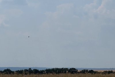 Сіверськ під цілодобовим прицілом російських дронів. Як бійці 10-ї ОГШб "Едельвейс" боронять місто Сіверськ під цілодобовим прицілом російських дронів. Як бійці 10-ї ОГШб "Едельвейс" боронять місто