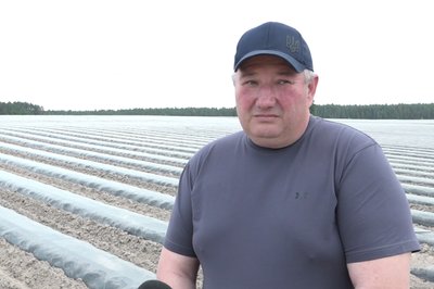 "Суницю в Греції виростили з нашої розсади" — підприємець з Харківщини про роботу релокованого бізнесу на Житомирщині "Суницю в Греції виростили з нашої розсади" — підприємець з Харківщини про роботу релокованого бізнесу на Житомирщині