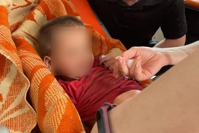 "Три ночі провела у лісі": на Харківщині розшукали дворічну дівчинку, яка зникла 23 травня "Три ночі провела у лісі": на Харківщині розшукали дворічну дівчинку, яка зникла 23 травня