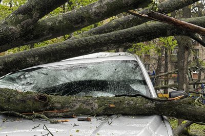 Щонайменше 30 дерев впали у Харкові через негоду 26 квітня: фото наслідків Щонайменше 30 дерев впали у Харкові через негоду 26 квітня: фото наслідків