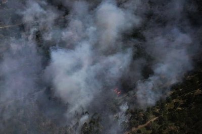 Вогонь охопив суху траву і хвойний настил: у Миколаєві горів ліс Вогонь охопив суху траву і хвойний настил: у Миколаєві горів ліс