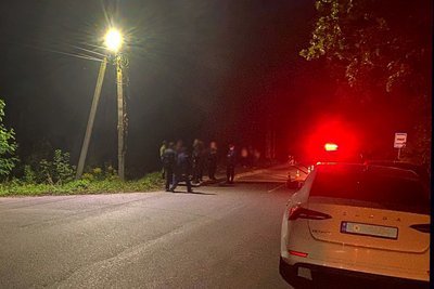 ДТП із травмуванням 11-річної дитини в Житомирі: поліція розшукала водія ДТП із травмуванням 11-річної дитини в Житомирі: поліція розшукала водія