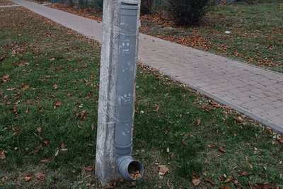 Годівниці для котів та собак: як школярі Дніпра разом з волонтерами рятують тварин у прифронтових громадах Годівниці для котів та собак: як школярі Дніпра разом з волонтерами рятують тварин у прифронтових громадах
