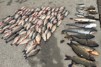 На Одещині затримали рибалку з уловом на понад 250 тисяч гривень На Одещині затримали рибалку з уловом на понад 250 тисяч гривень