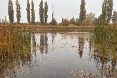 У Малинівці на Житомирщині ветерани облаштовують локацію відпочинку біля місцевого ставка У Малинівці на Житомирщині ветерани облаштовують локацію відпочинку біля місцевого ставка