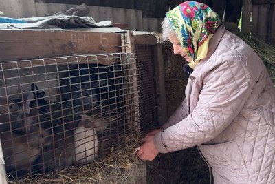 Корова, город і робота без вихідних: один день із життя жінок у волинських селах Корова, город і робота без вихідних: один день із життя жінок у волинських селах
